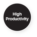 High Productivity Icon