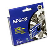 T0491 - Black Ink Cartridge