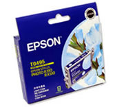 Light Cyan Ink Cartridge - T0495