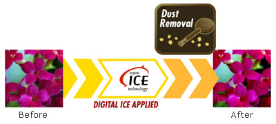 DIGITAL ICE