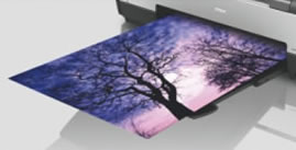 A3+ Size Printing