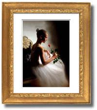Digital Photography Fine Print Guide