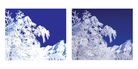 High Contrast Ratio