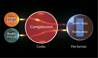 Movie file support