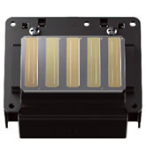 Epson Micro Piezo TFP Print Head Technology