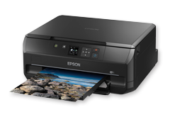 Epson Expression<sup>®</sup> Premium XP-510 - Christmas Connect - For Home