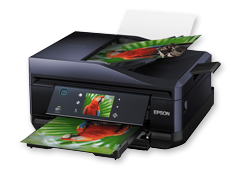 Epson Expression<sup>®</sup> Premium XP-800 - Christmas Connect - For Home