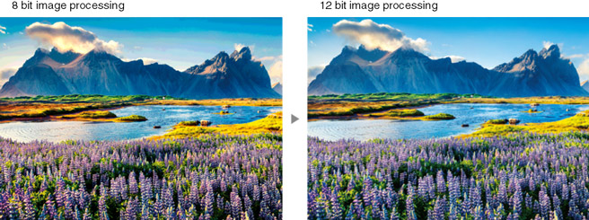 digital image processing