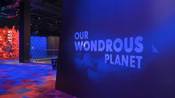 Large Venue Projection - Melbourne Museum