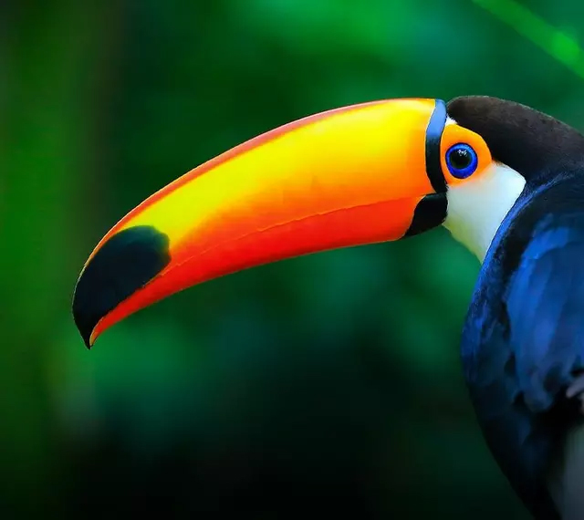 Brighter and vivid projection