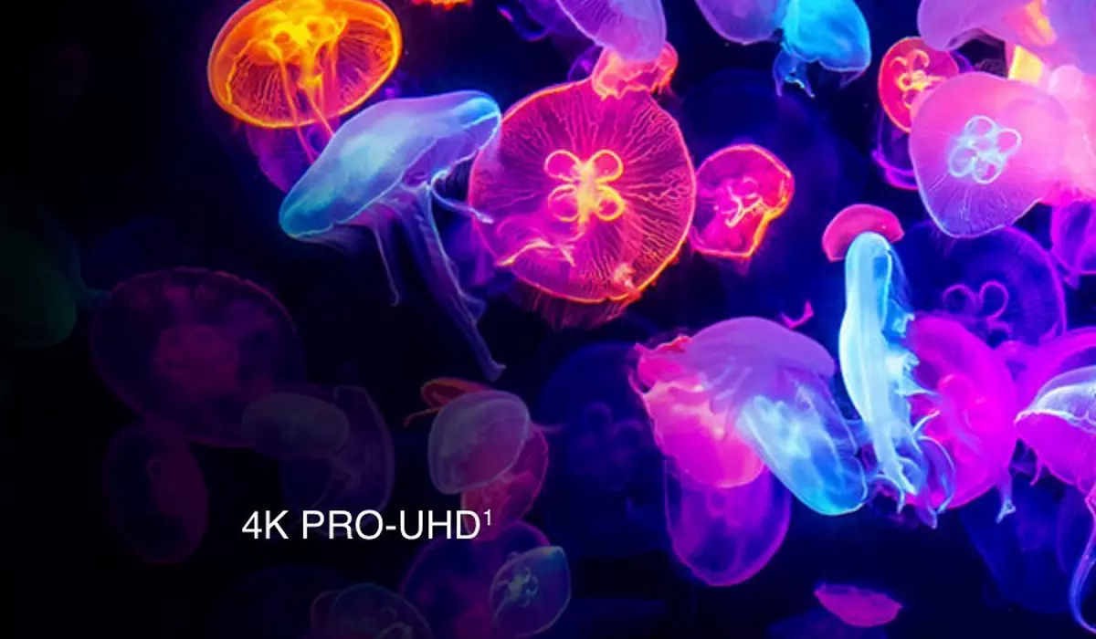4K PRO-UHD