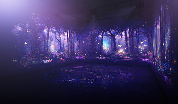 Immersive display solutions
