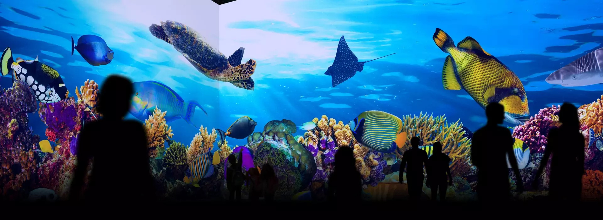 Aquarium