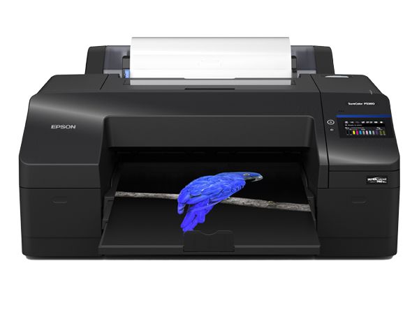 Epson SureColor P5360 - 17"