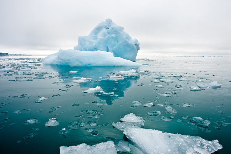 climate reality barometer