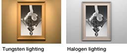 Graphic showing consistent colour under tungsten lighting and halogen lighting