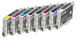 Eight individual Epson Intellidge Ink cartridges