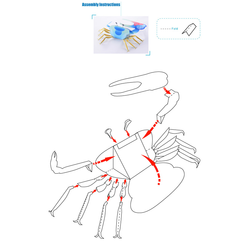 3D Crab – image 4 of 5