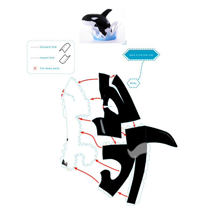 3D Killer Whale – image 5 of 7