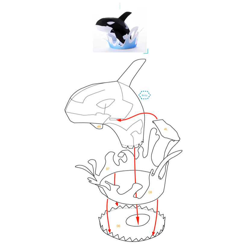 3D Killer Whale – image 6 of 7