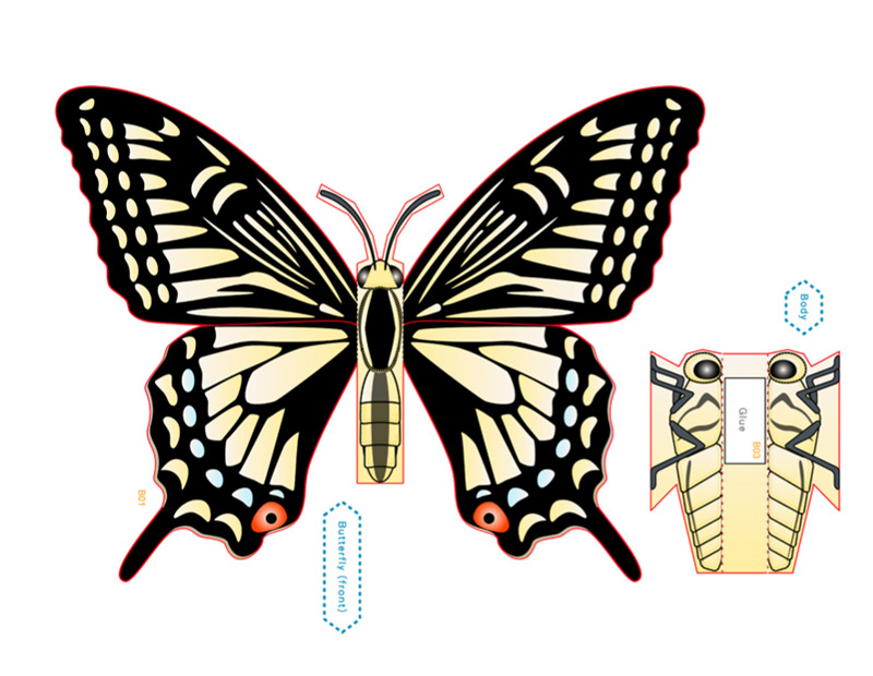 3D Butterfly – image 2 of 5