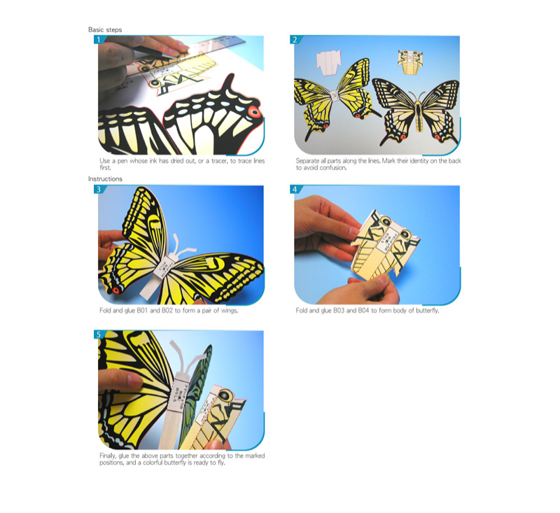 3D Butterfly – image 5 of 5