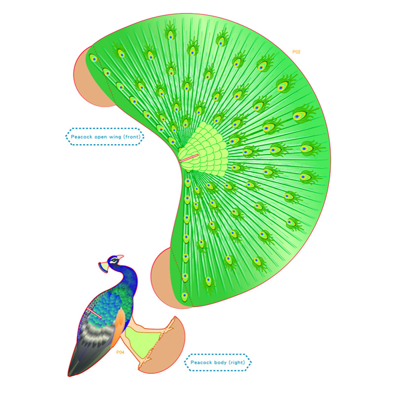 3D Peacock – image 3 of 6