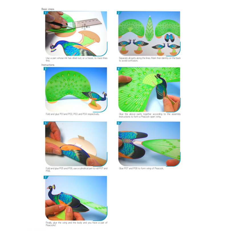 3D Peacock – image 6 of 6
