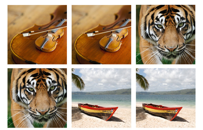 Epson Memory Game – image 2 of 10