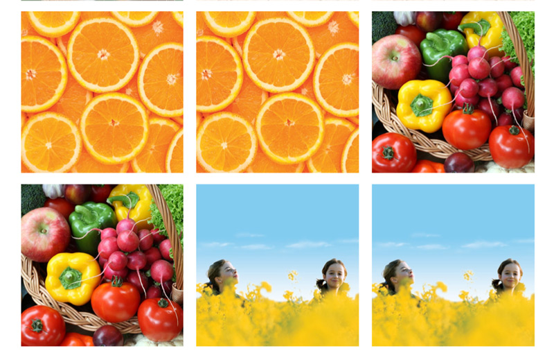 Epson Memory Game – image 3 of 10