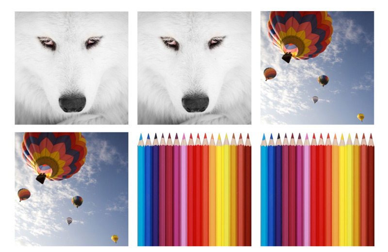 Epson Memory Game – image 5 of 10