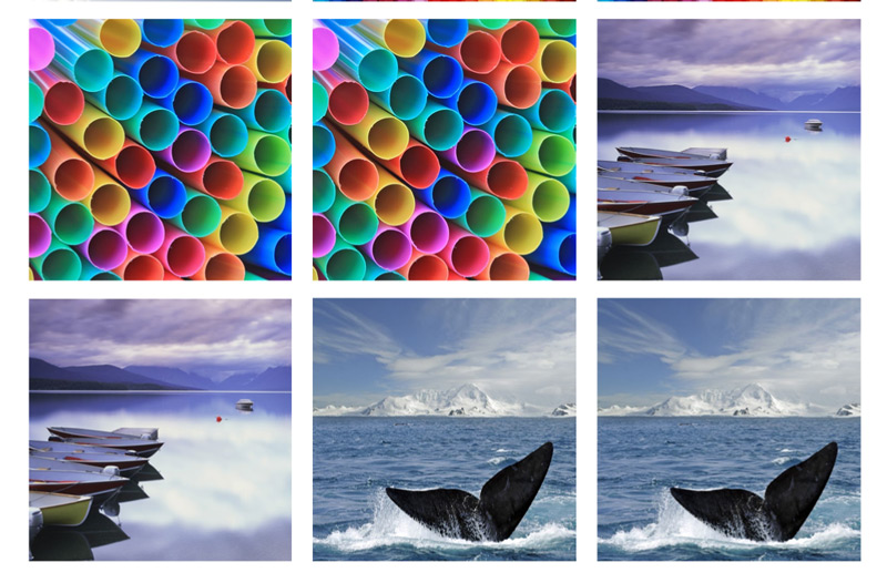 Epson Memory Game – image 6 of 10