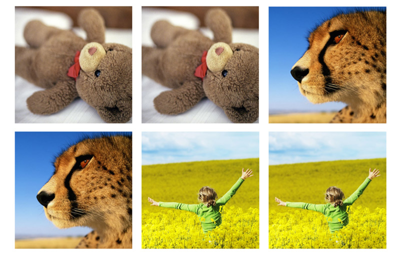 Epson Memory Game – image 8 of 10