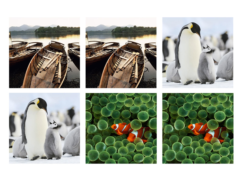 Epson Memory Game – image 9 of 10