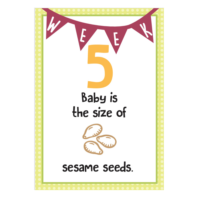 Week 5-40 cards – image 2 of 9